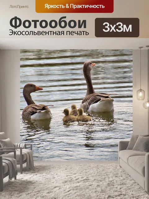 Фотообои Гуси