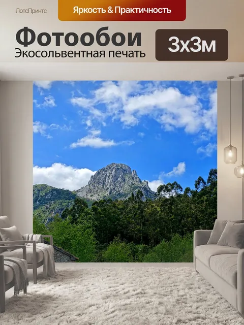 Фотообои Пик