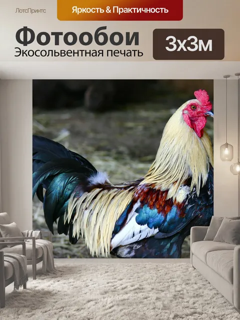 Фотообои Красочный