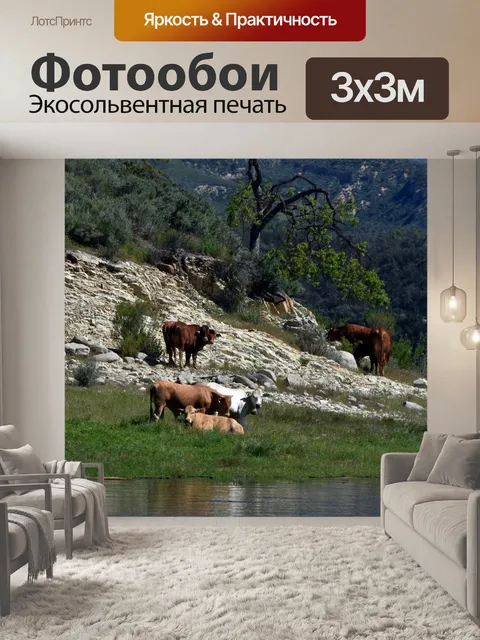 Фотообои Коровы у озера