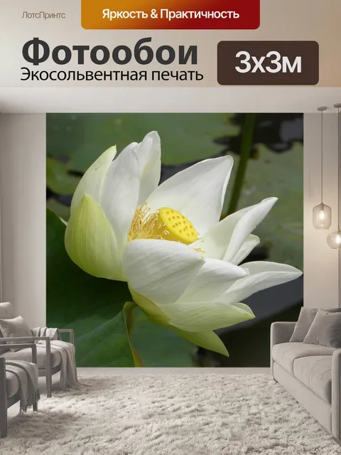 Фотообои Желтый цветок