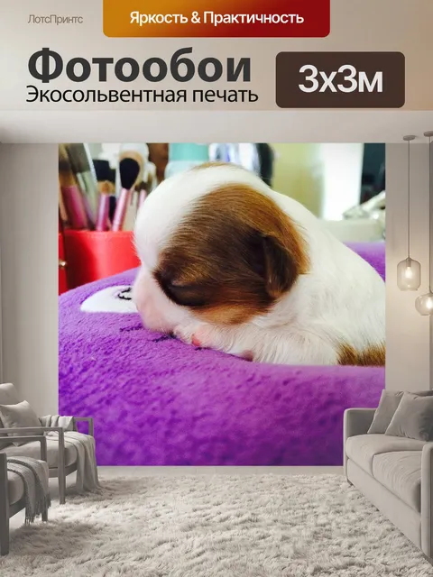 Фотообои Щенок