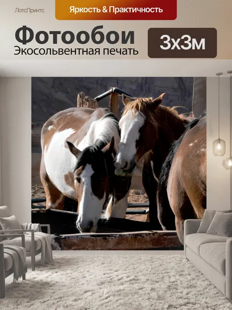 Фотообои лошади
