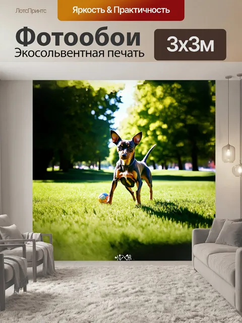 Фотообои в сером парке, на фоне зелёных деревьев, той-терьер резво играет с мячиком, прыгая по мягкой траве