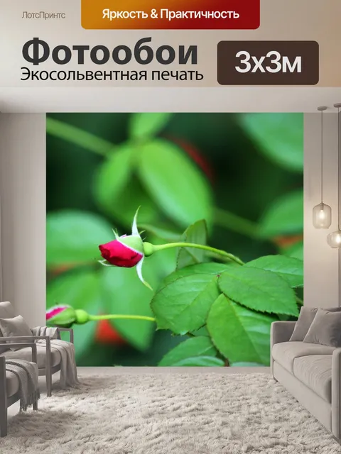Фотообои бутоны роз