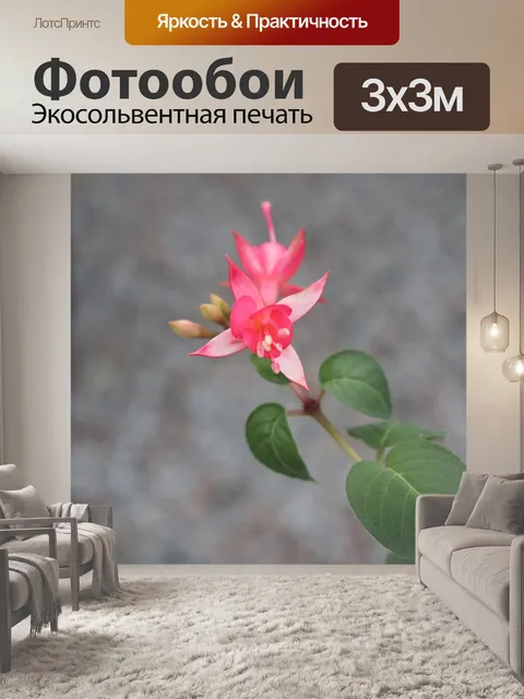 Фотообои Розовый