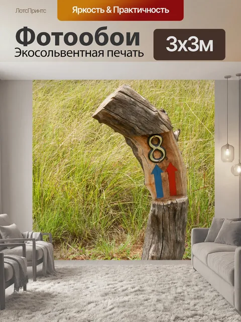 Фотообои маркер на пне