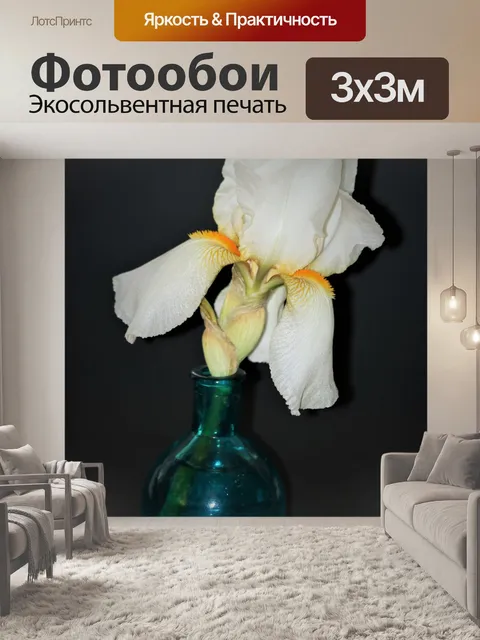Фотообои Белая ириса в вазе на черном