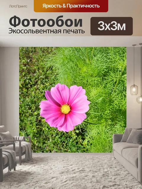 Фотообои Космос Соната 2018 1