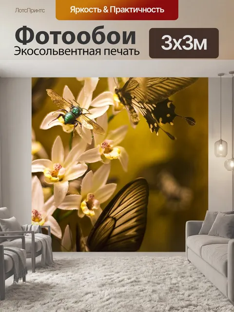 Фотообои Бабочки