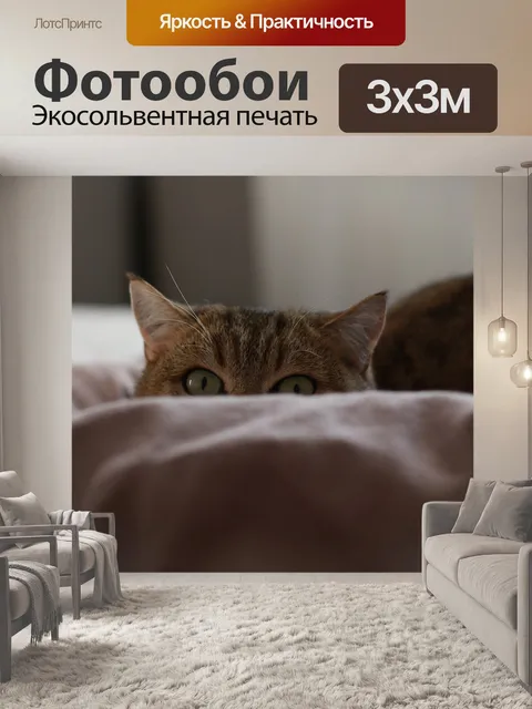 Фотообои Кошка