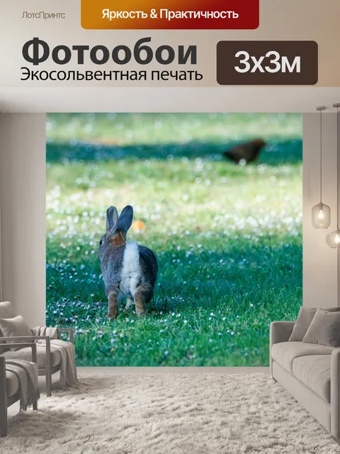 Фотообои Кролики