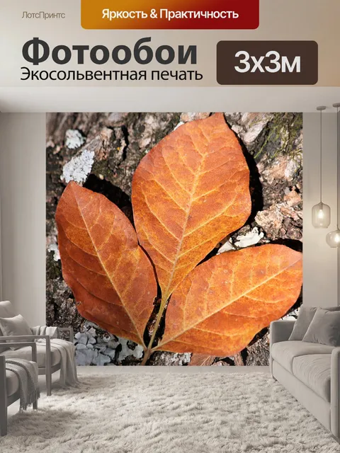 Фотообои Три золотые осенние листья