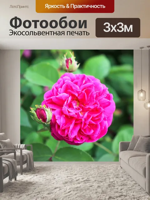 Фотообои Розы