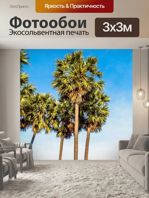 Фотообои Сахарная пальма