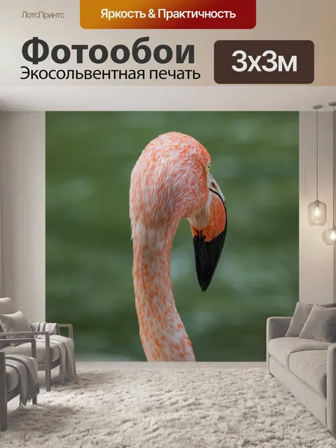 Фотообои розовый фламинго