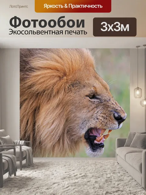 Фотообои Африке