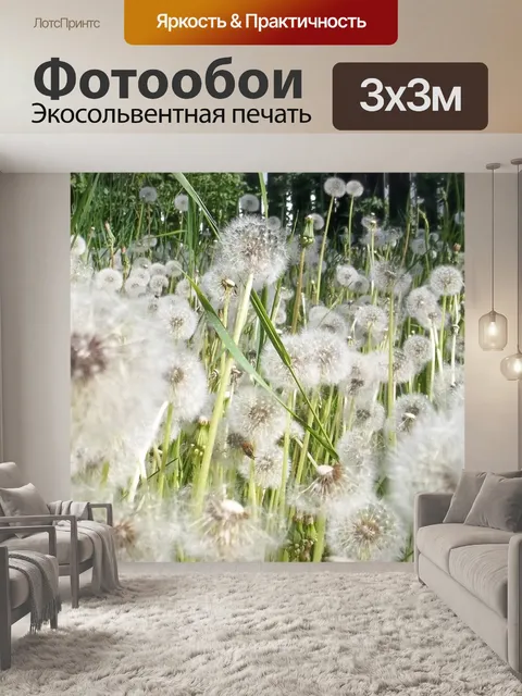 Фотообои Одуванчики