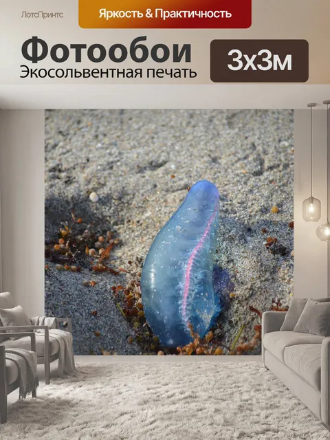 Фотообои Кораблей