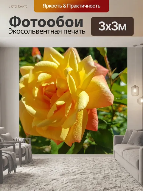 Фотообои Жёлтый