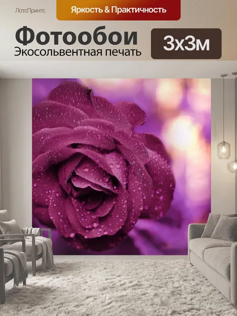 Фотообои Роза цветок цвести розовый