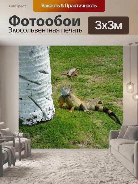 Фотообои Игуана