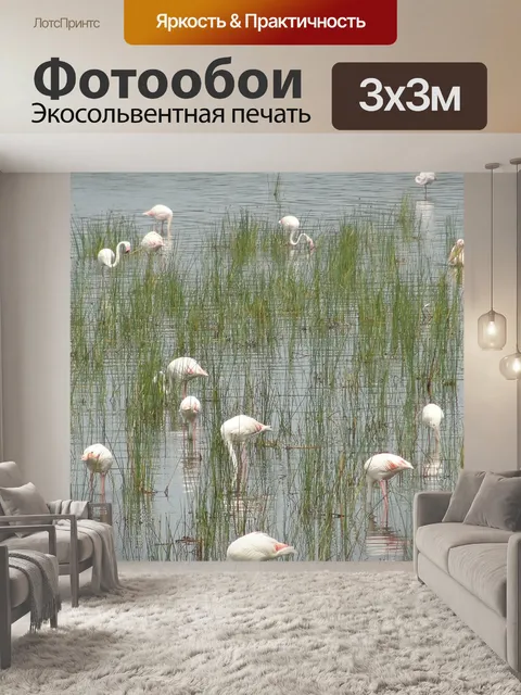 Фотообои Фламинго