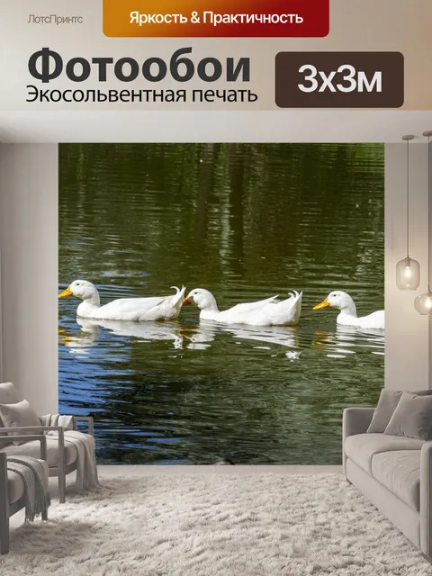 Фотообои Гуси
