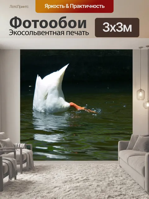 Фотообои Белая утка дайвинга