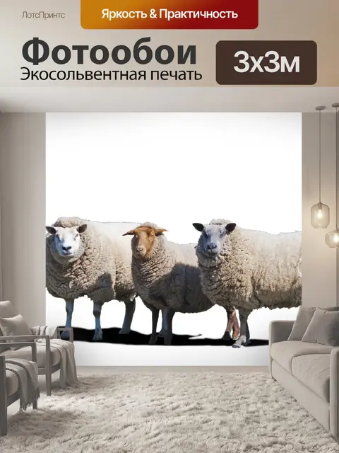 Фотообои Овцы, стадо овец