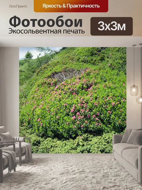 Фотообои Альпийская роза