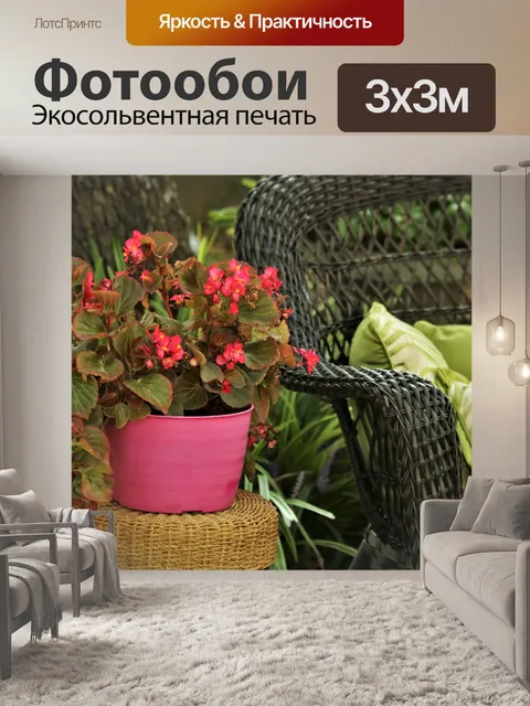 Фотообои Розовые бегонии рядом с плетеным креслом