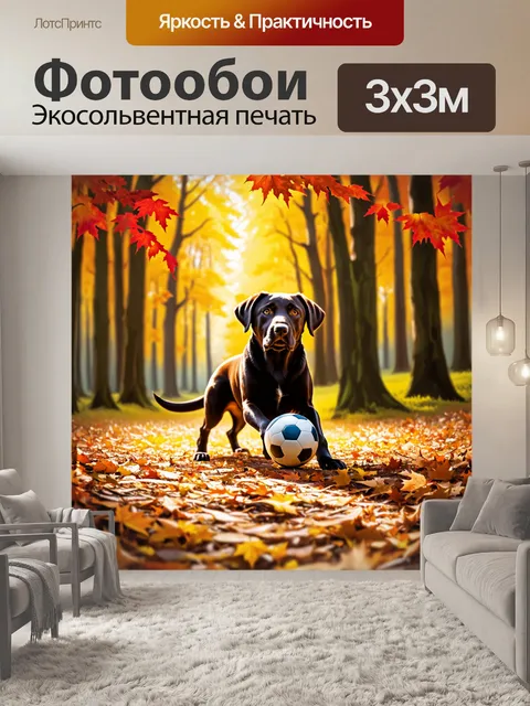 Фотообои лабрадор, играющий с мячиком на фоне живописного леса в осеннюю пору, когда листья приобретают яркие желтые…