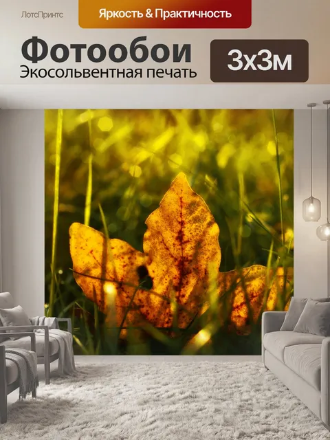 Фотообои Осенний лист светлой листвы клена