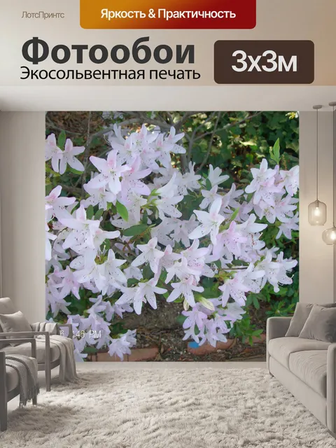Фотообои Белый Flower