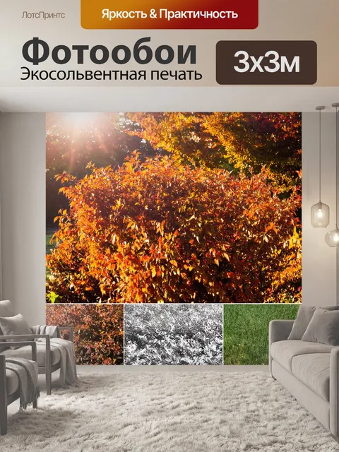 Фотообои осенний сад, где кусты пестреют красновато-коричневыми листьями, играя на солнце