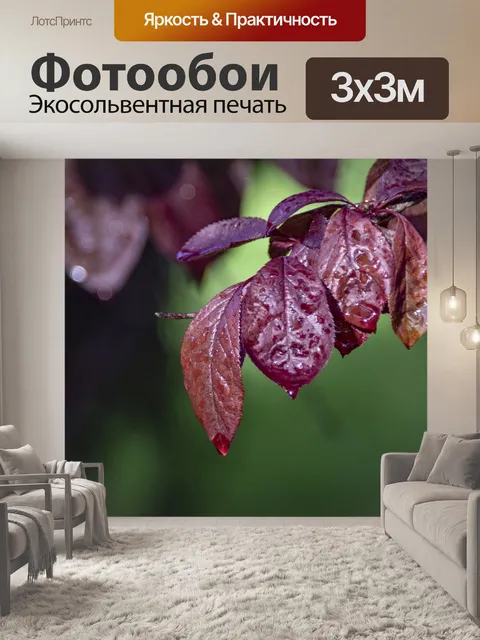 Фотообои Поцелованные росой листья