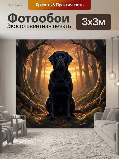 Фотообои Черный лабрадор в закатном лесу
