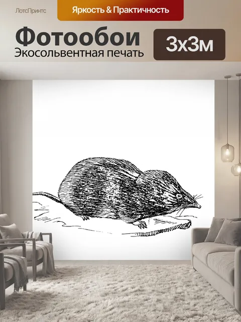 Фотообои Иллюстрация строптивой Клипарт