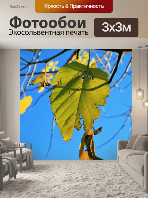 Фотообои желто-зеленый листьев шелковицы