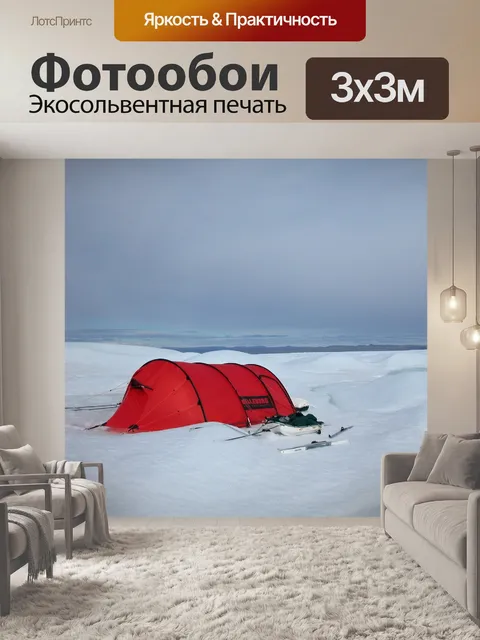 Фотообои Арктический