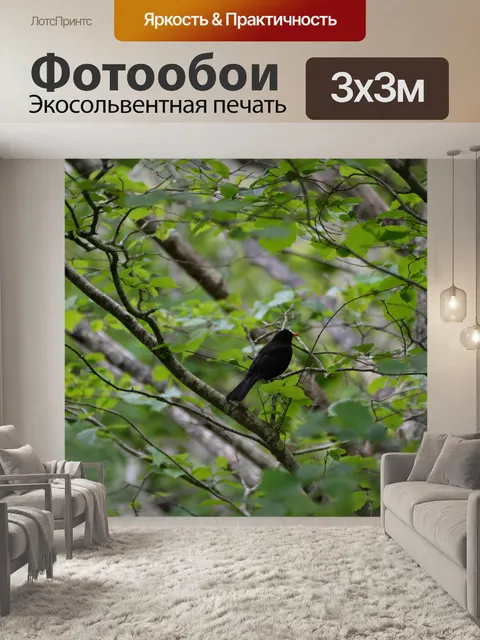 Фотообои Черный дрозд на ветках