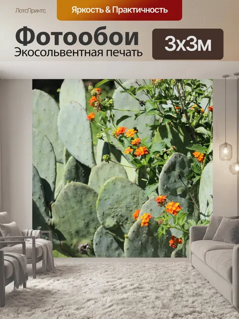 Фотообои Колючий кактус груши и Лантана Буш
