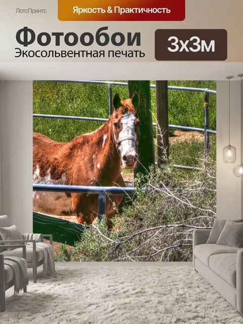 Фотообои Коричневая и белая лошадь