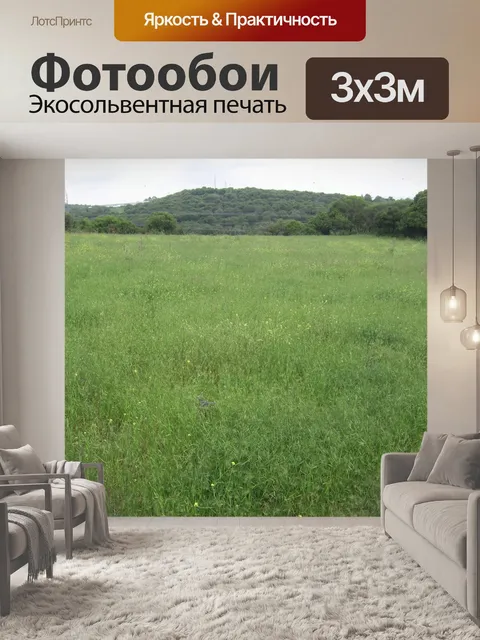 Фотообои Зеленый луг