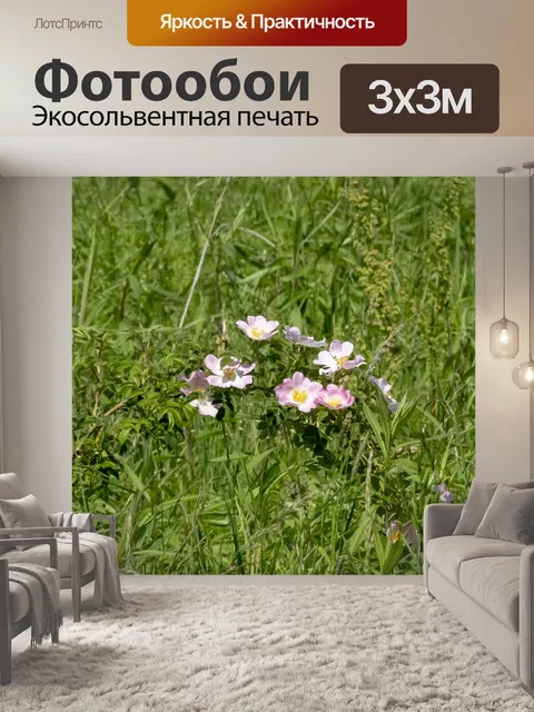 Фотообои Уайлдфлауэр
