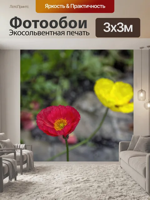 Фотообои Цинния цветок