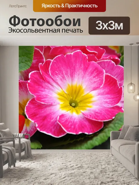 Фотообои Первоцвет