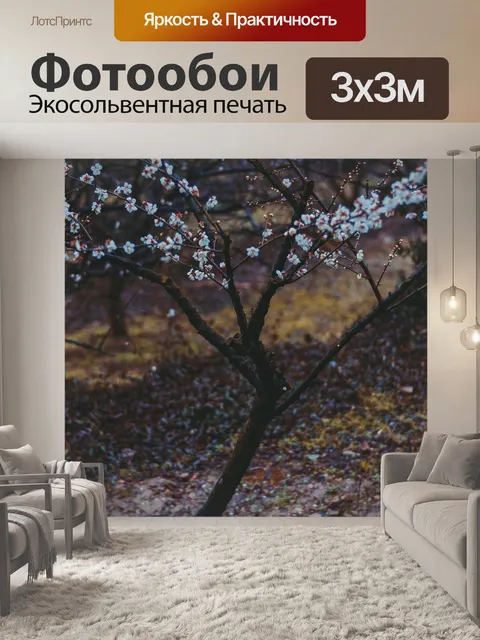 Фотообои Китайский стиль