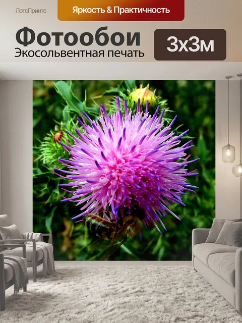 Фотообои Цветок
